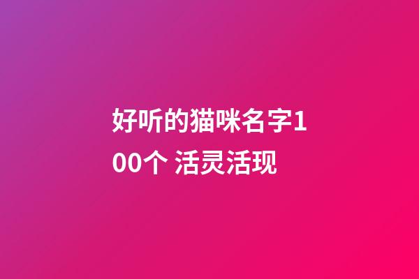 好听的猫咪名字100个 活灵活现